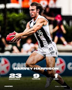 Collingwood FC VFL | Harvey Shines Bright in an Exceptional Opening Fortnight…