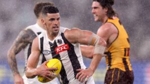 Pies fall to Hawks…