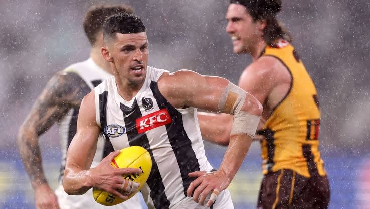 Pies fall to Hawks…