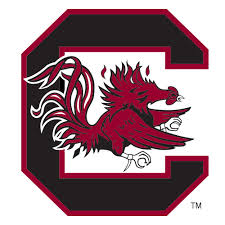Breaking today: Why South Carolina Football Fans Have Every Reason To Believe in the Gamecocks for 2025….