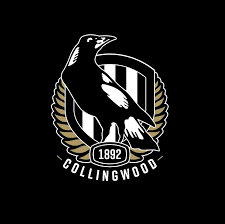 Breaking today: Magpies Soar to Premiership Glory After Nail-Biting Grand Final….